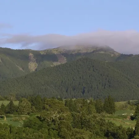 Resilience House 度假居