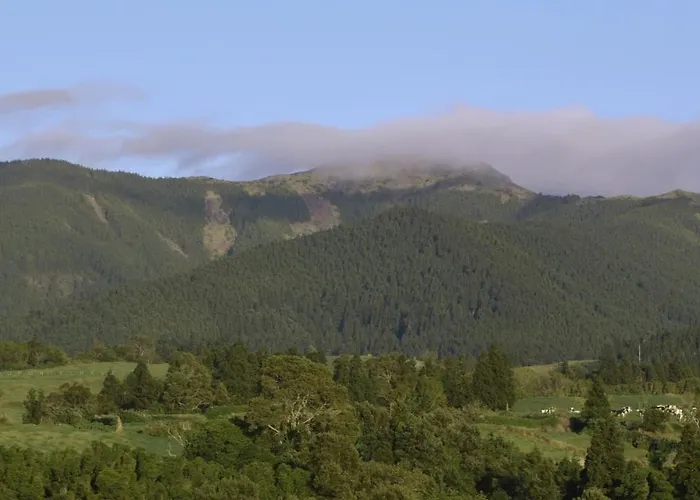 Resilience House 펜션